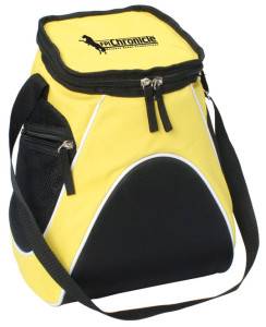 Chronicle Cooler BAg