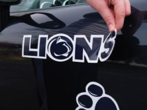 car stickers bongo