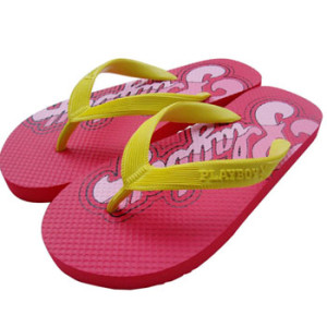 havaianas