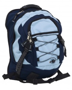 steelers backpack