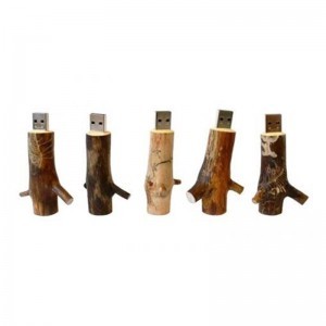 usb wood trunks