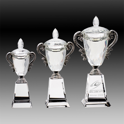 Crystal Cup Trophies