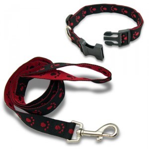 dog leash and collar set