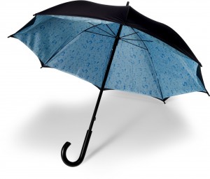 raindrops umbrella
