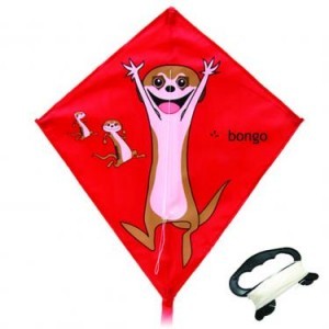 flying kite