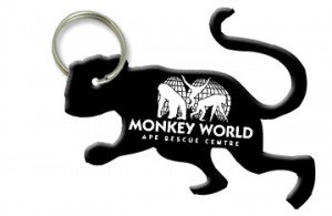 money keyring bottle opener