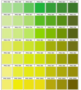 pantone chart bongo page 10