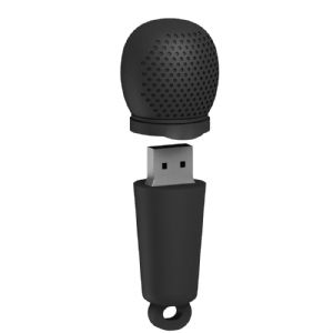 microphone flash drive