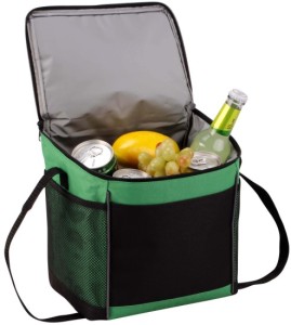 zippered cooler bag