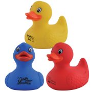 Fun and Novelty - express